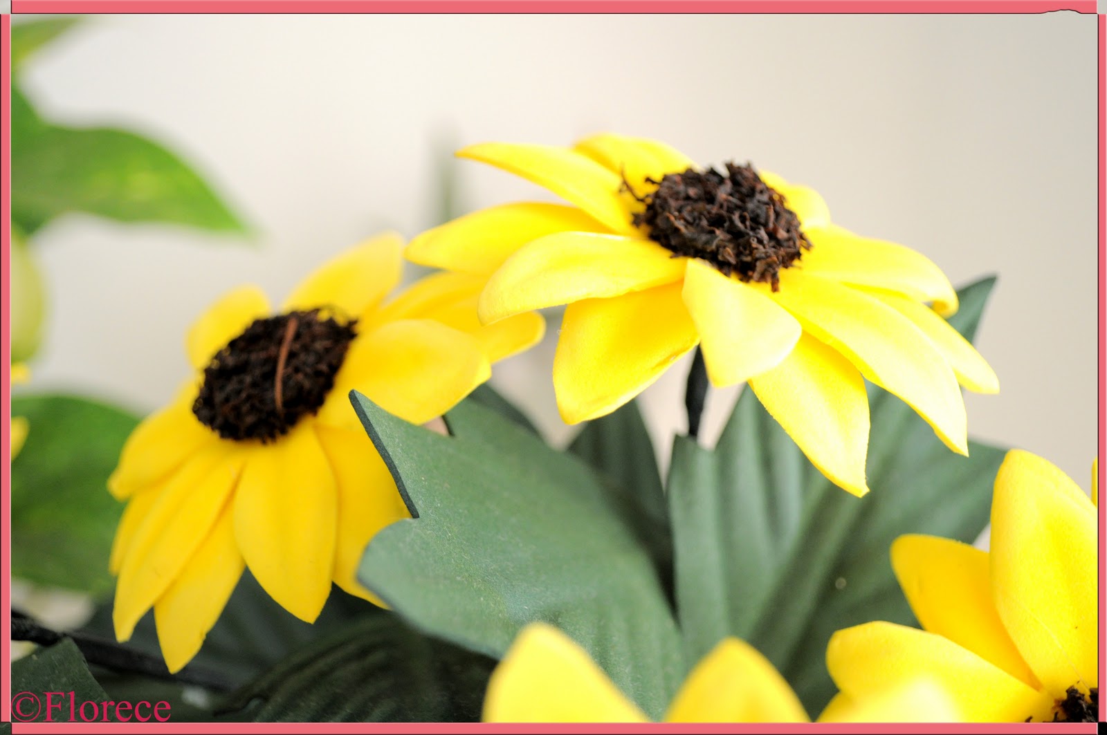 Florece: Margaritas Amarillas