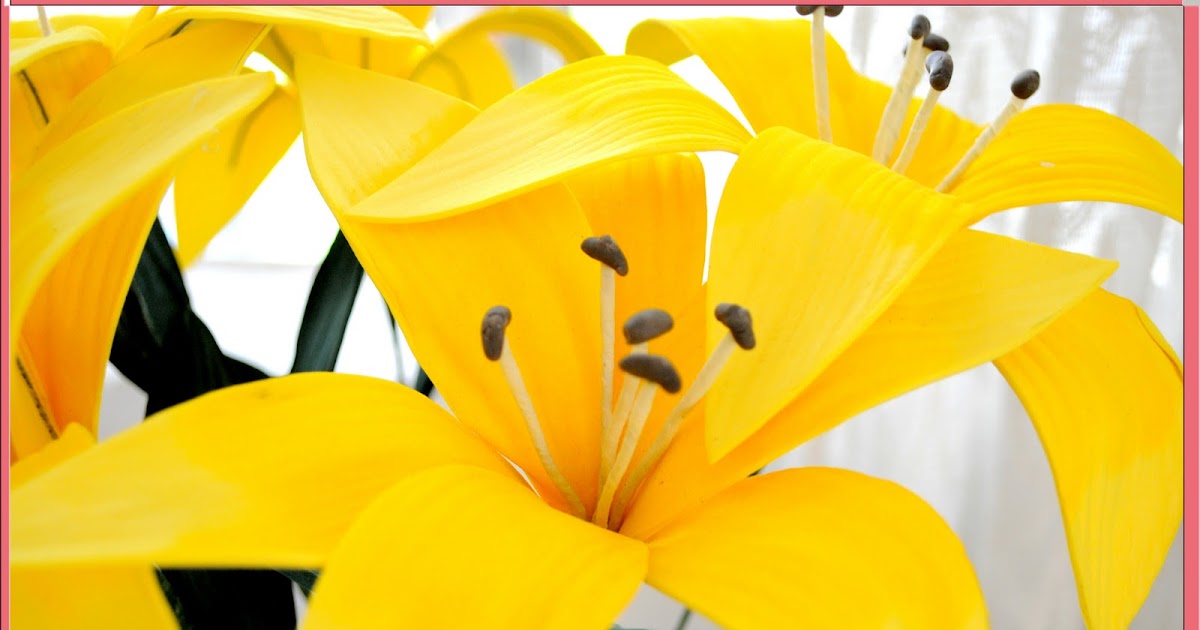 Florece: Lirios Amarillos