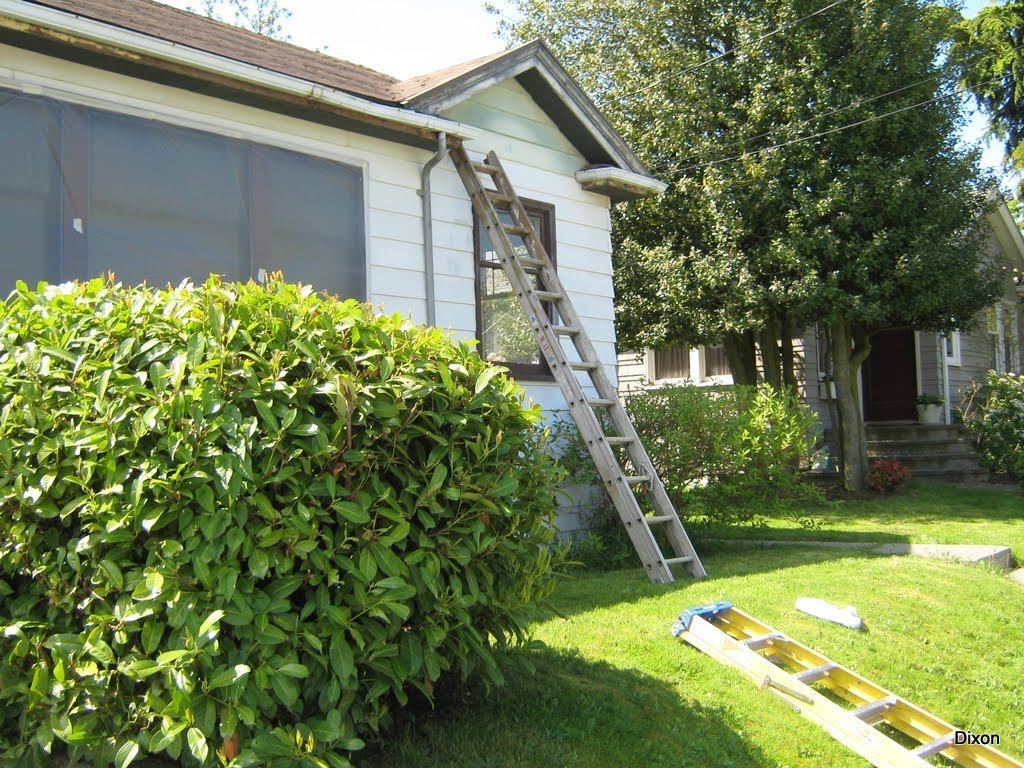 Asset Renovation & Maintenance, Inc. Exterior House Paint / Before