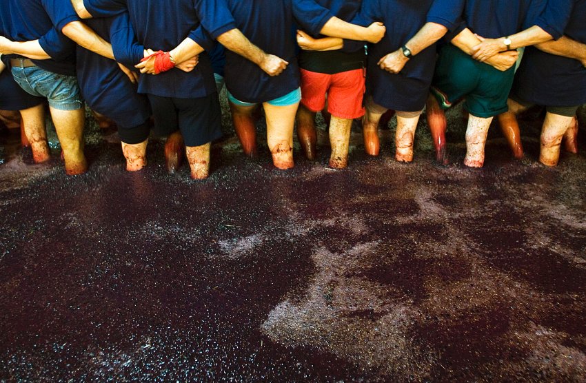 [image-19278-galleryV9-bwht.jpg]