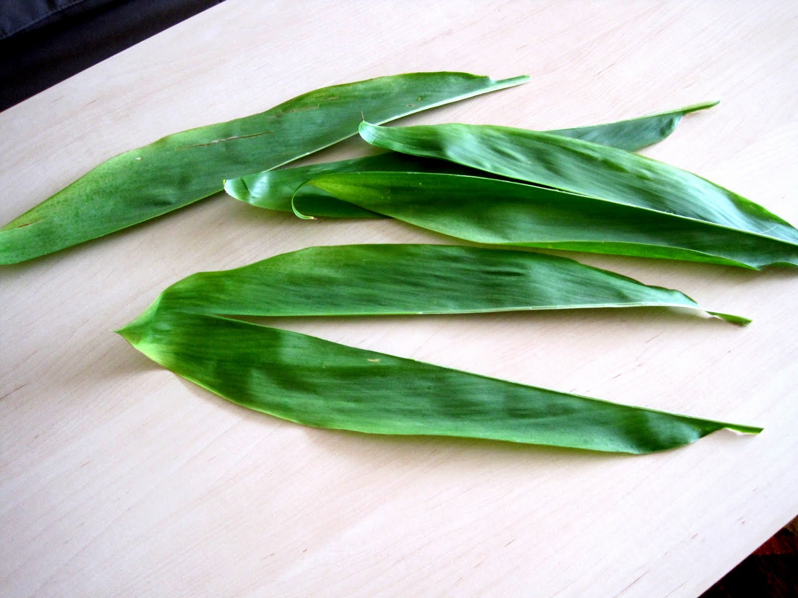 Experience Hawaii Enjoy Honolulu Festival Native Hawaiian Plants