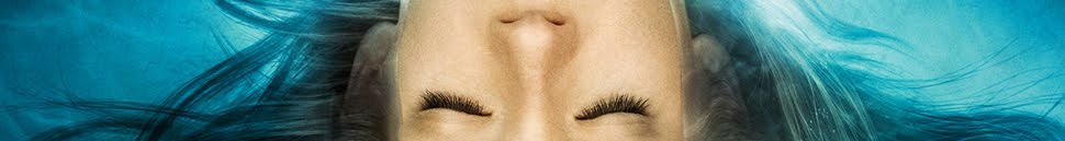 Fringe Blog Brasil Teste