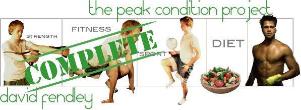 The Peak Condition Project - David Fendley
