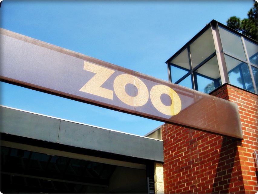 nur.radiant Melbourne Zoo Royal Park