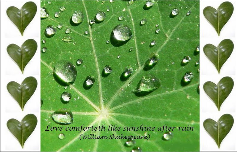 Friends4allu - The True Friendship Site: Nice Quotes