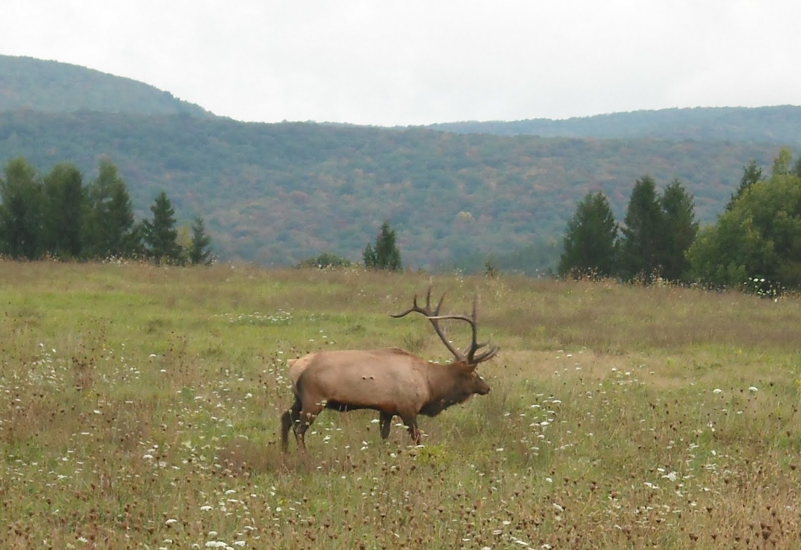 [Thursday+Morning.jpeg]