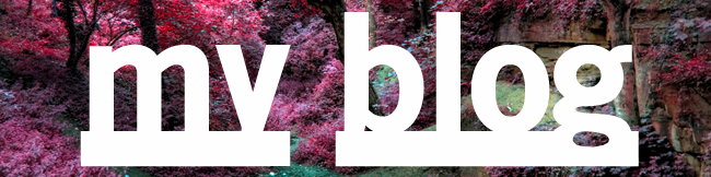 my blog by tony lawson