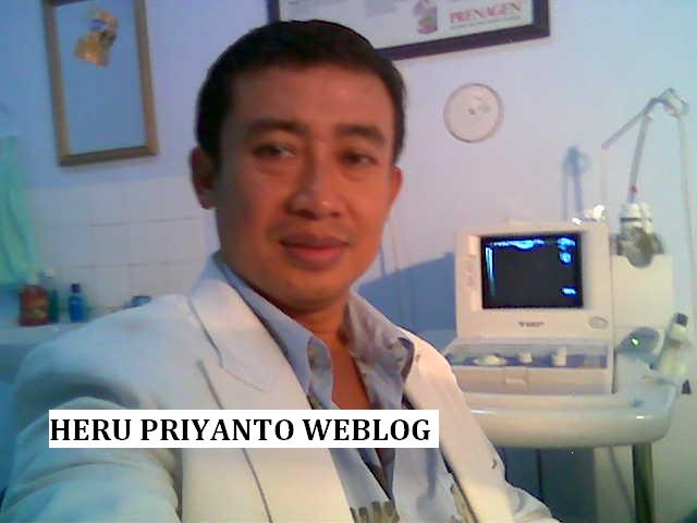 Heru Priyanto Weblog