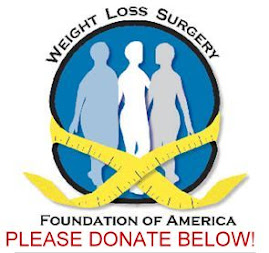 Donate to the WLSFA!