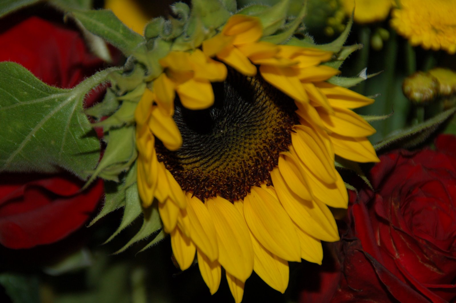 [DSC_0180.JPG]