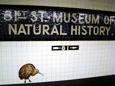 DSC02044+subway+museum+of+natural+history+2.jpg