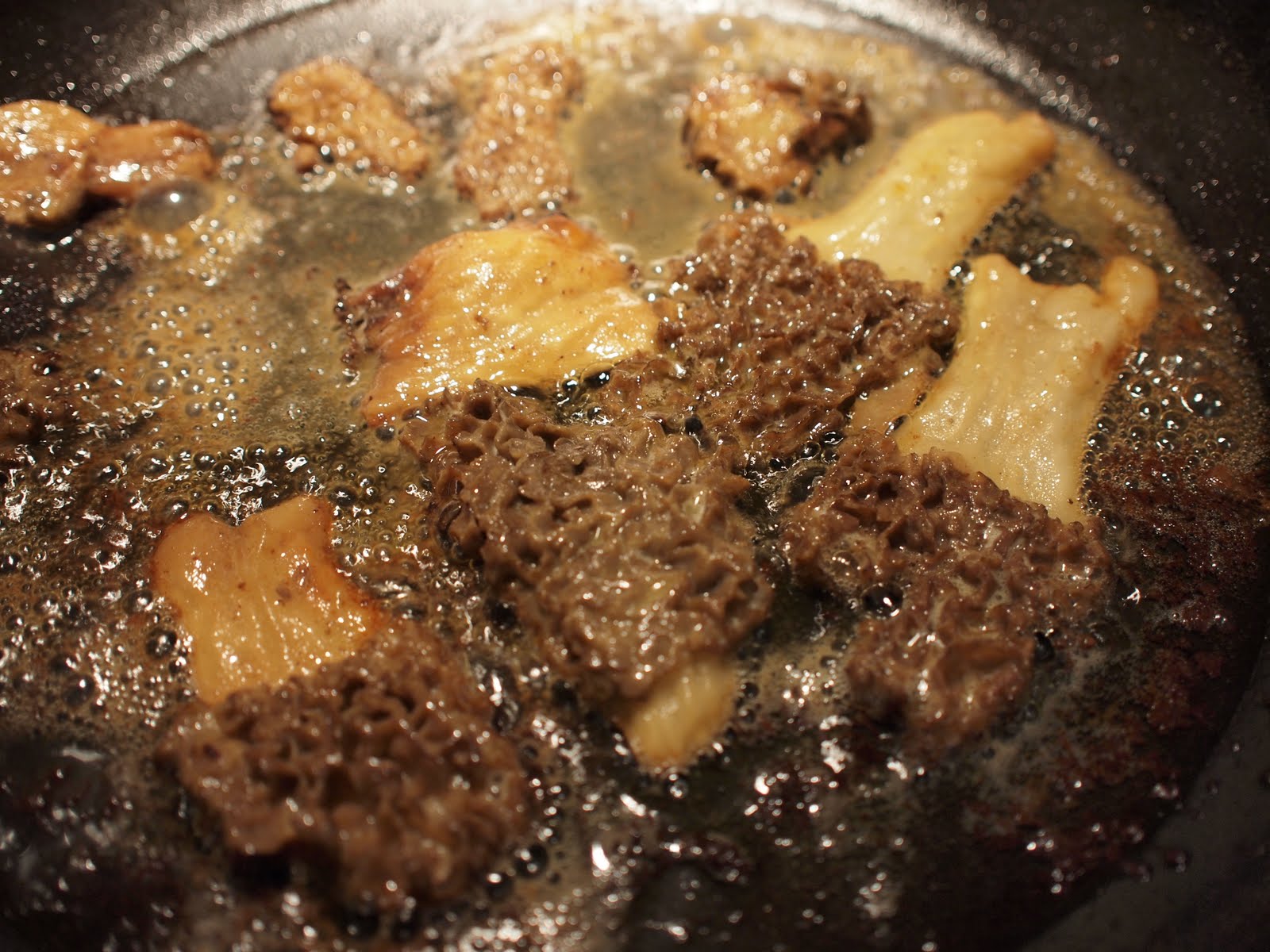 This is Gonna Be Good Cooking Morels