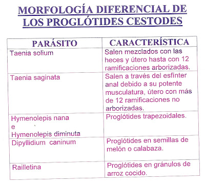 ParasiDiario: octubre 2009