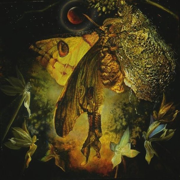 Saint Augustine In His Manichaean Phase and a Madagascar Moon Moth