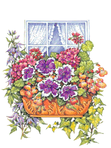 flores_janela.gif