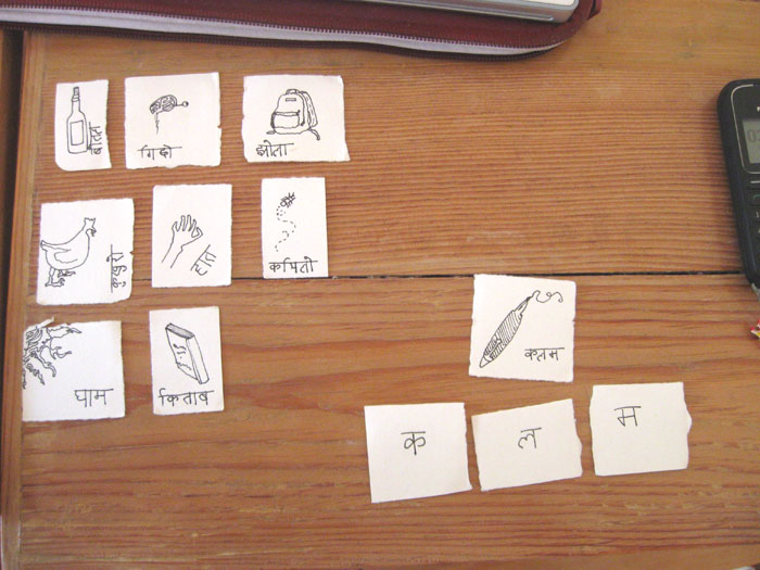 The Kathmandu Diet Illustrated Nepali Flash Cards