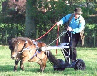 Saddlechariot.: March 2008