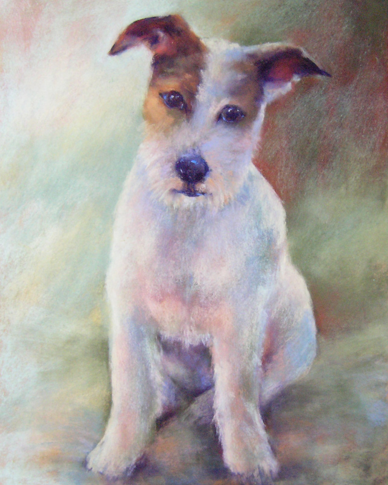 Джек Рассел терьер Адольф