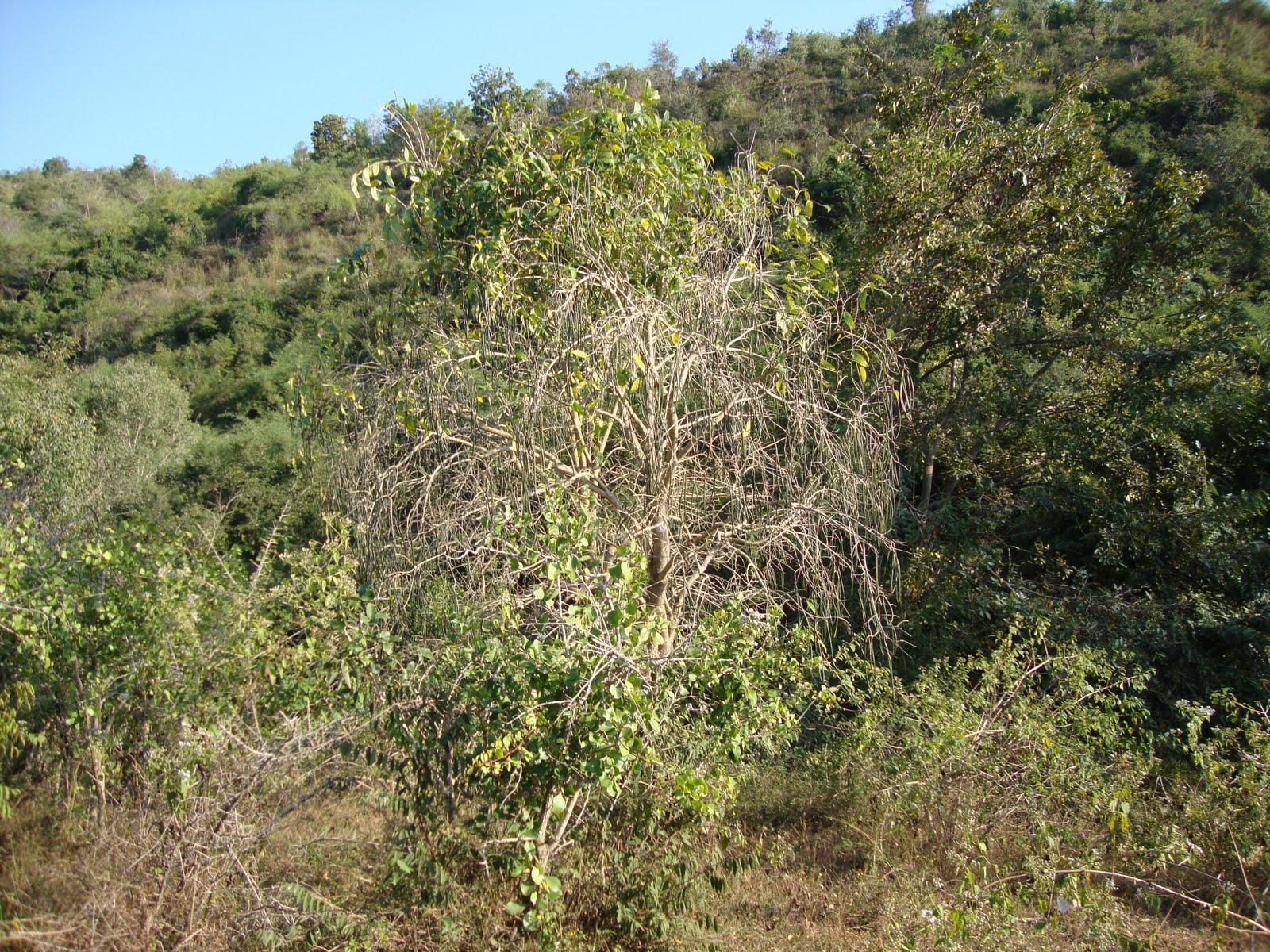 [DSC00692.JPG]
