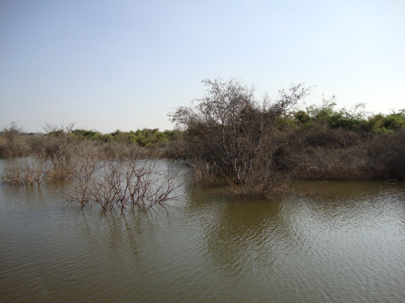 [DSC00683.JPG]