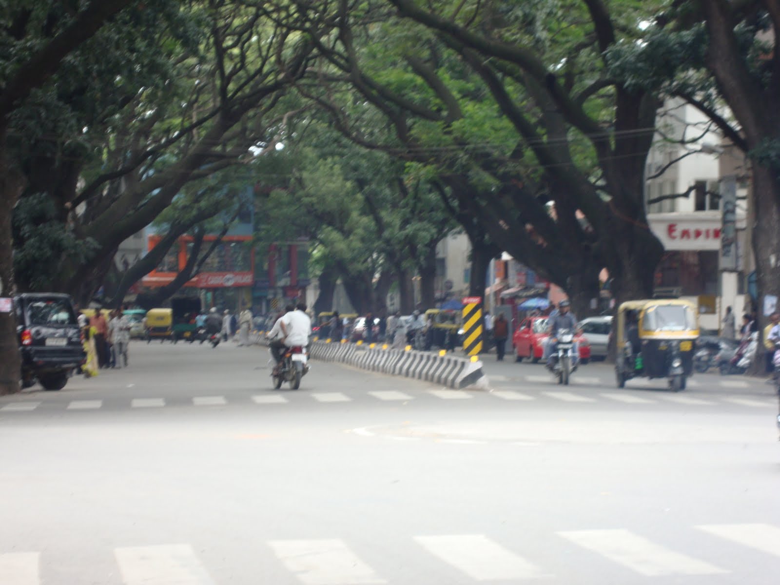 [DSC00295.JPG]