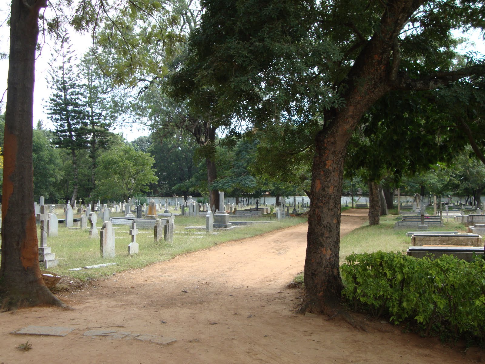 [DSC00257.JPG]