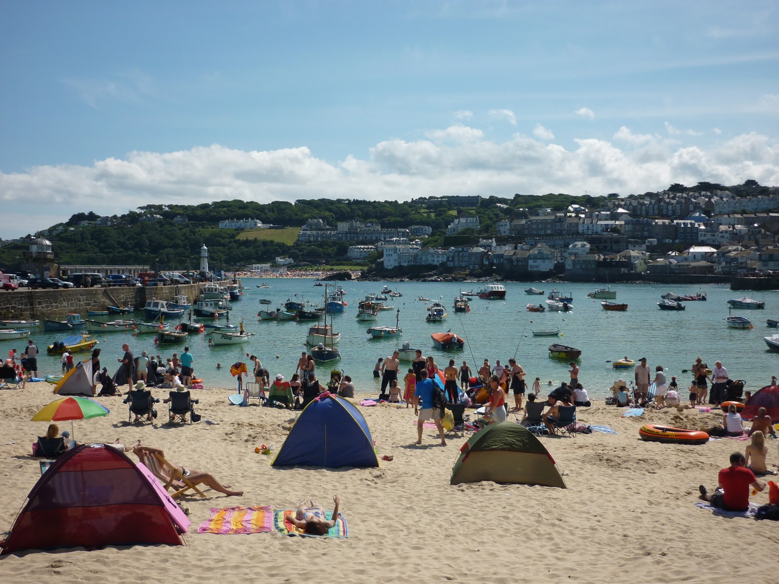 Coniglio Giallo Cornovaglia