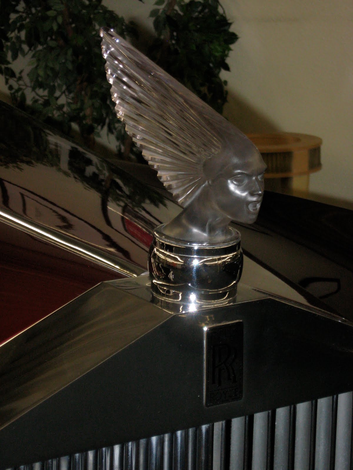 [IMG_1675.JPG]