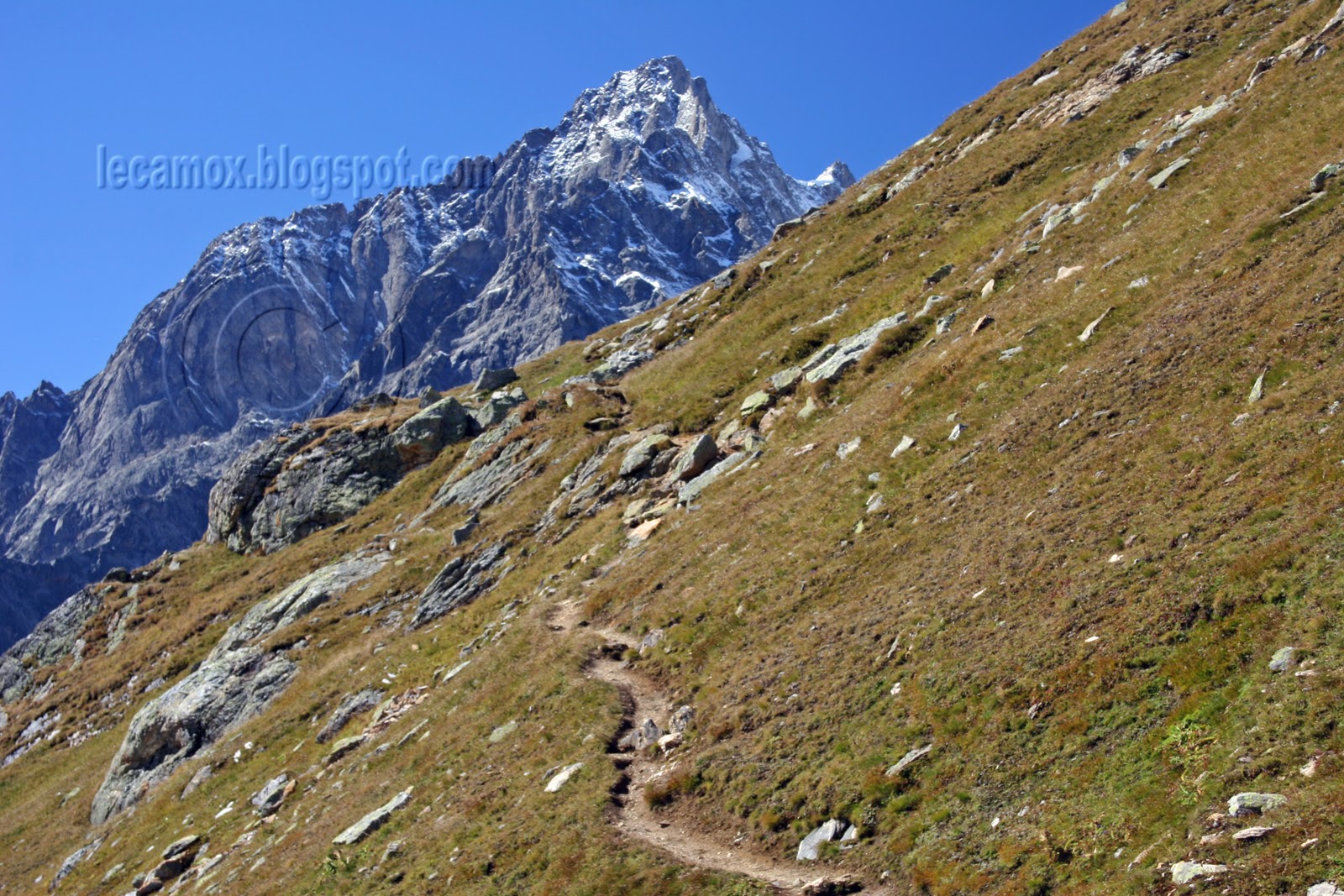L'univers du Camox Petit Col Ferret (Suisse/Italie)