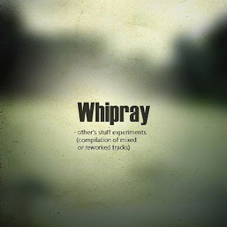 Whipray - The Other's stuff experiments - compilation of mixed or reworked tracks