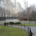 Central Park February Steam