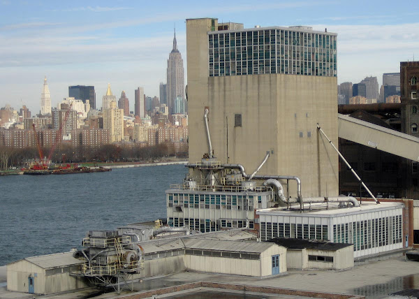 Doomed Domino Plant - On the East River in Williamsburg, seen from the Williamsburg Bridge.