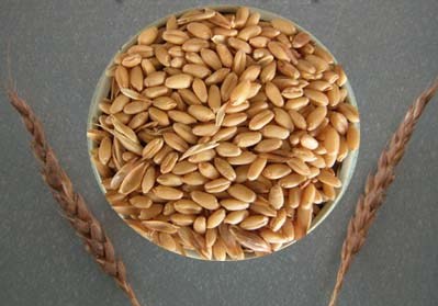 [anadolu-bugdayi.jpg]