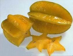 [CARAMBOLA+meyvesi.JPG]