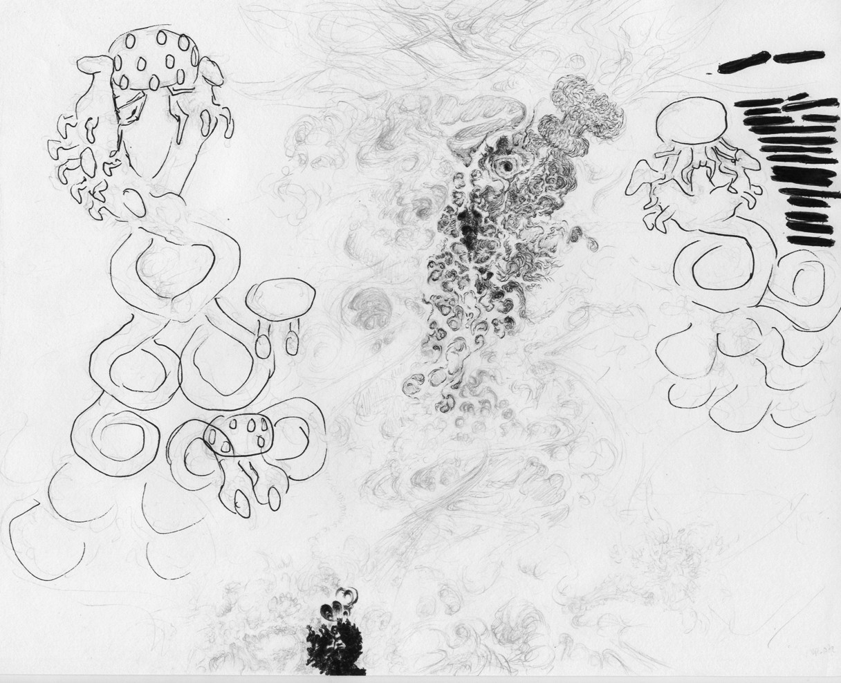 EATEN BY DUCKS: Failed drawings explanation