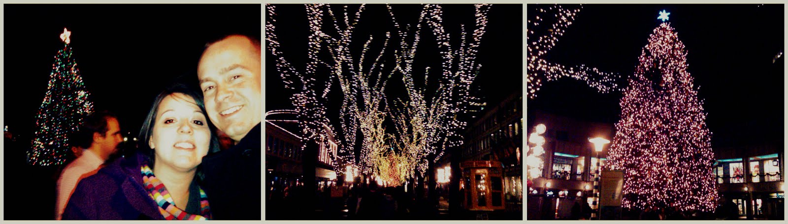 [tree+lighting.jpg]