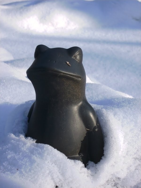 [A+sound+of+snow.jpg]