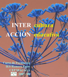 CURSO DE FORMACION INTERCULTURA ACCION EDUCATIVA