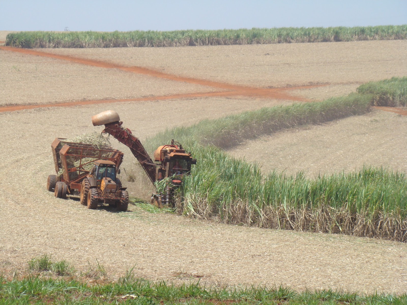 O Processo De Modernização Da Agricultura Brasileira Resultou
