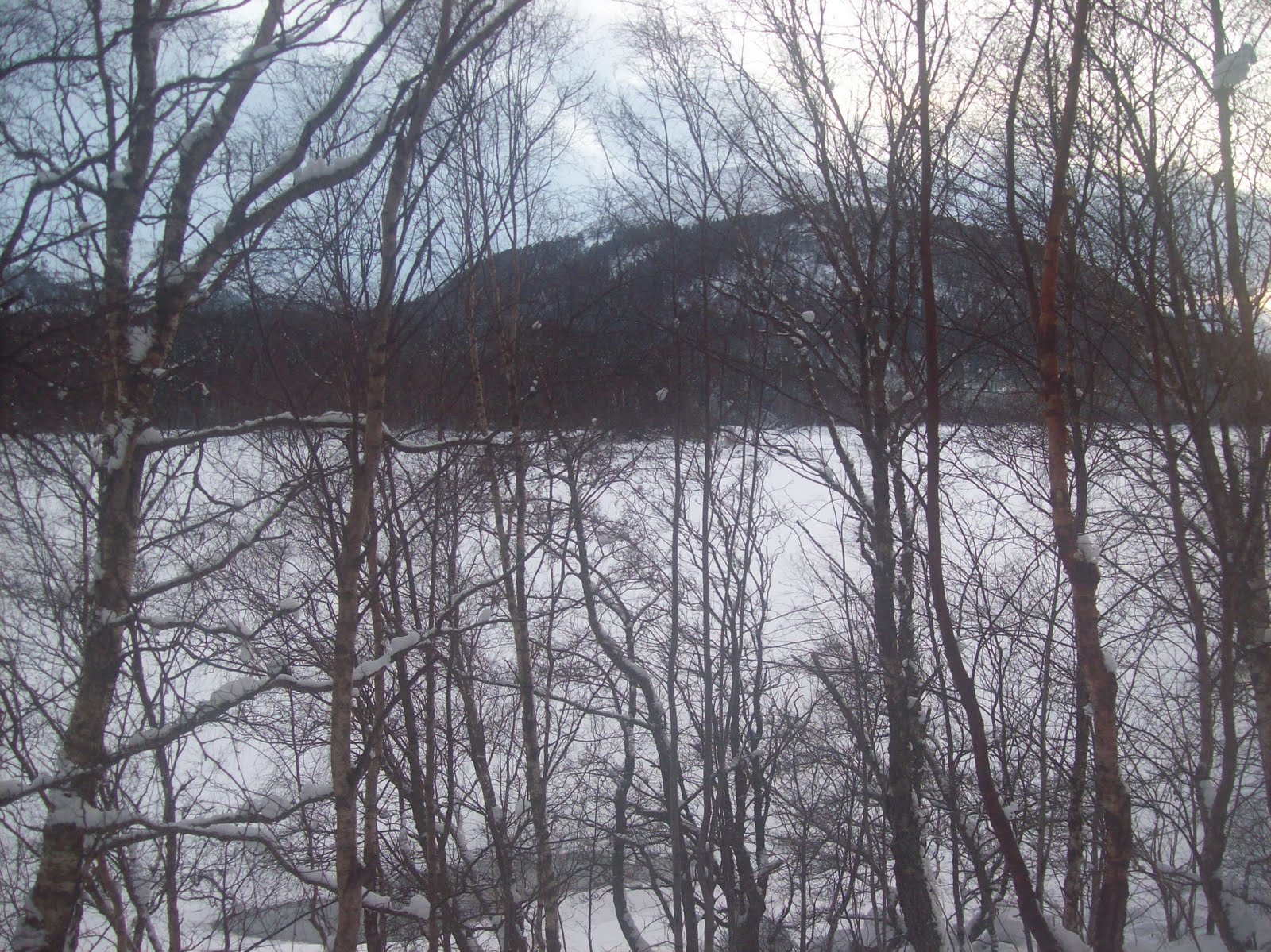 [100_0359.JPG]