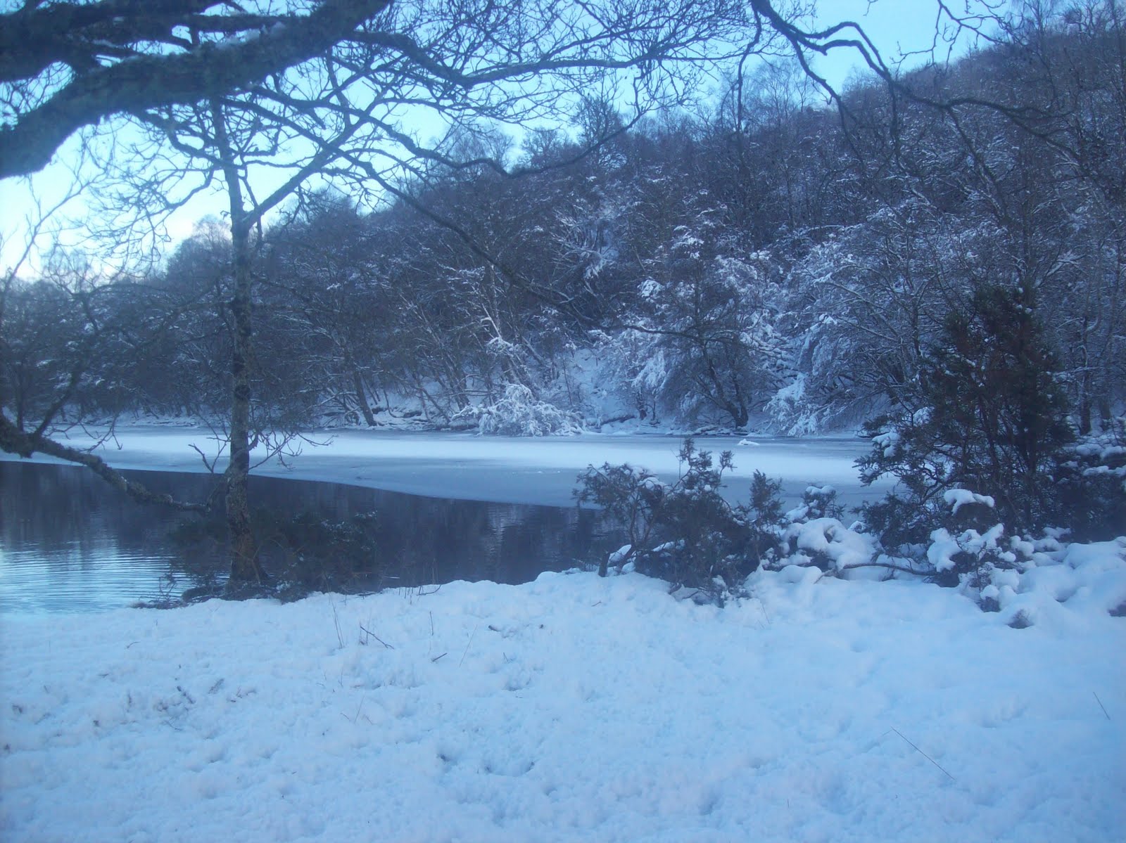 [100_0348.JPG]