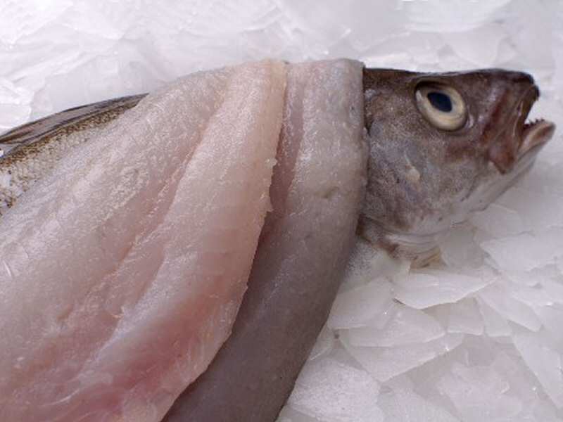 PALM READING TUTORIAL What You Need To Know About Fish Allergy