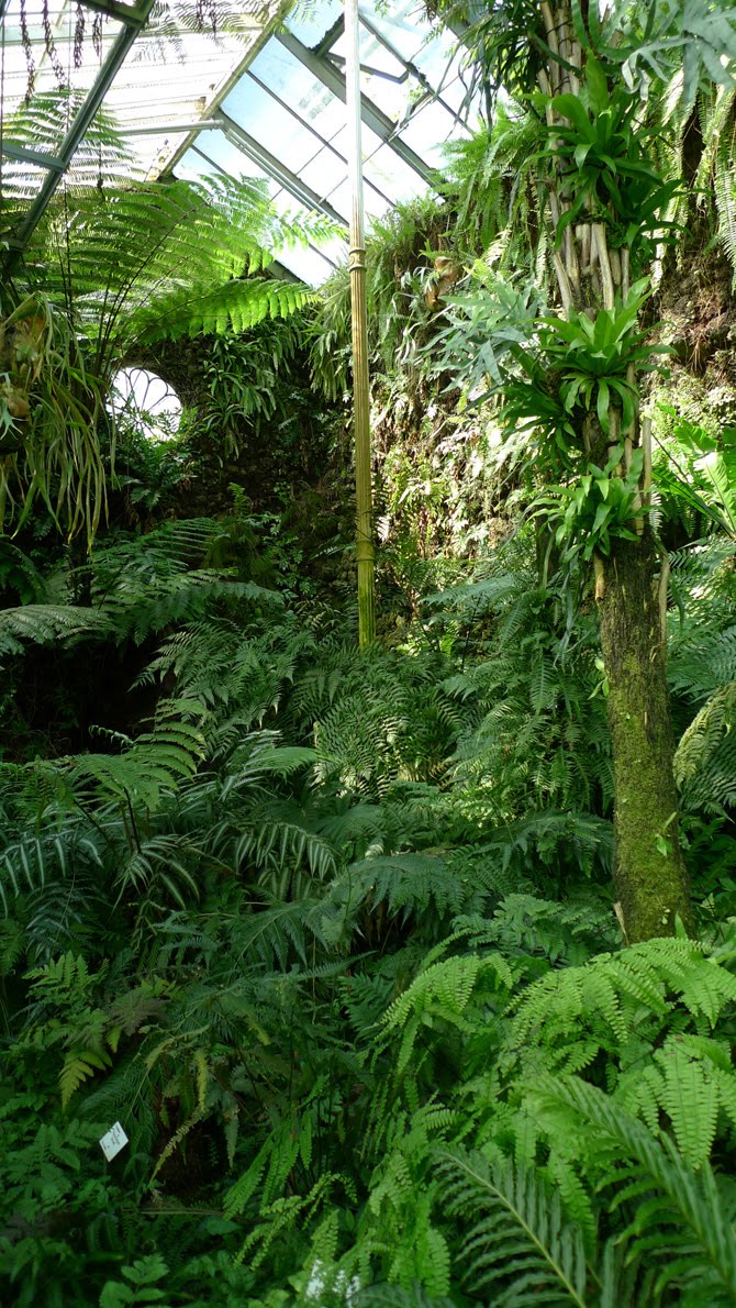 Martin y Juan Botanischer Garten Göttingen