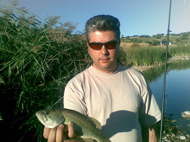 Black Bass de 30cm