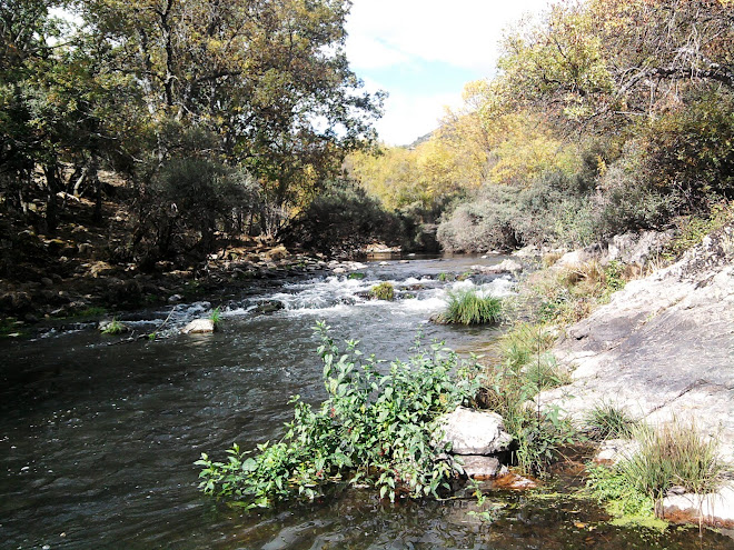 Molino de la Horcajada II