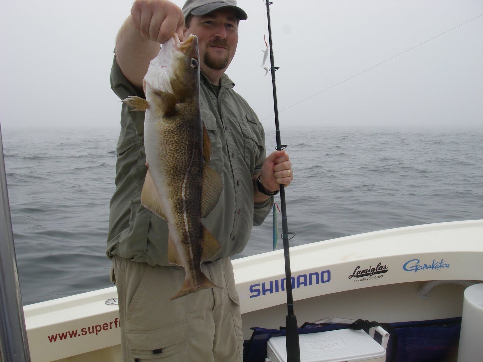 Maine Striper Fishing Charters & Reports Hotline 2076910745 Maine