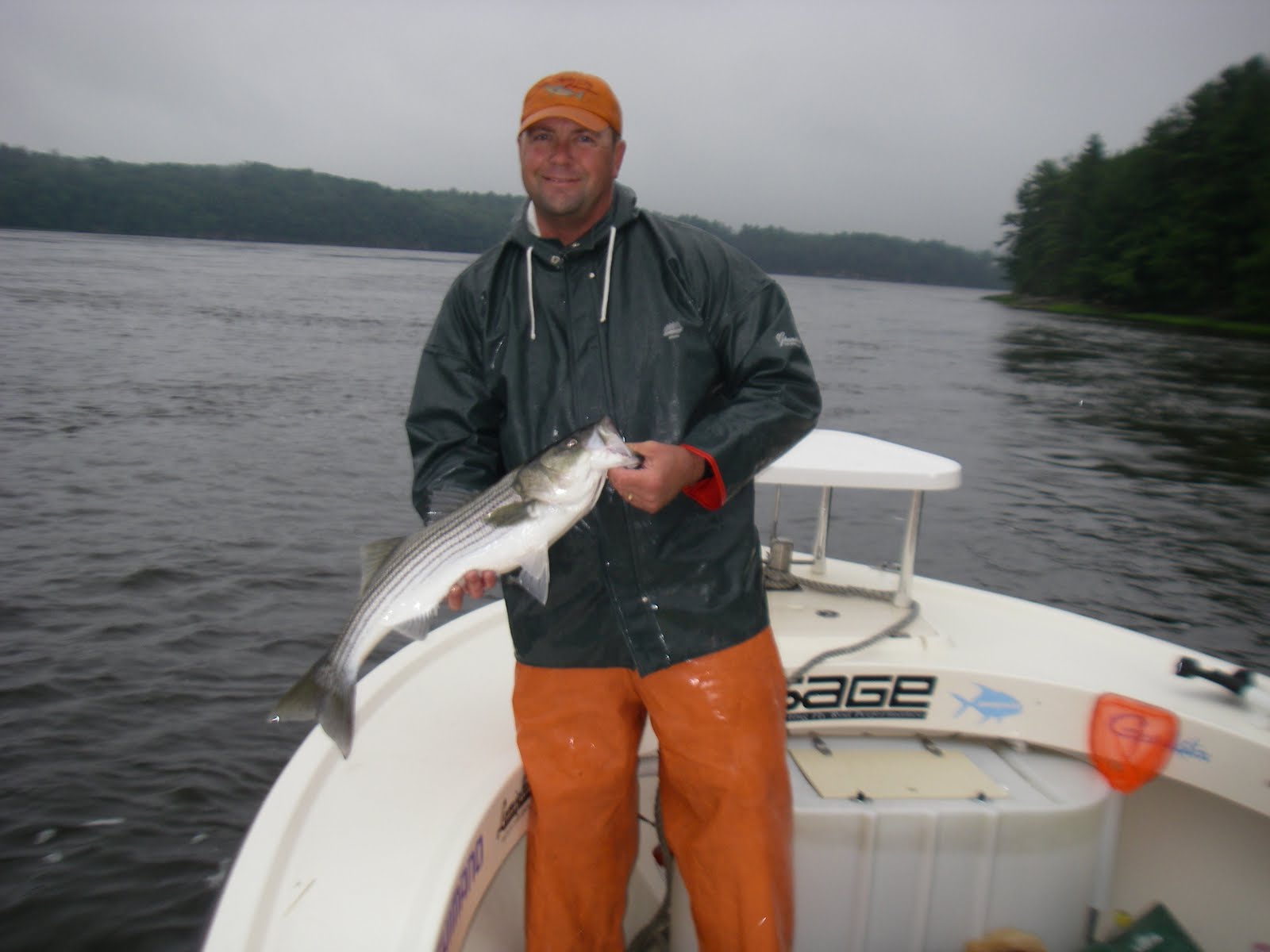 Maine Striper Fishing Charters & Reports Hotline 2076910745 Maine