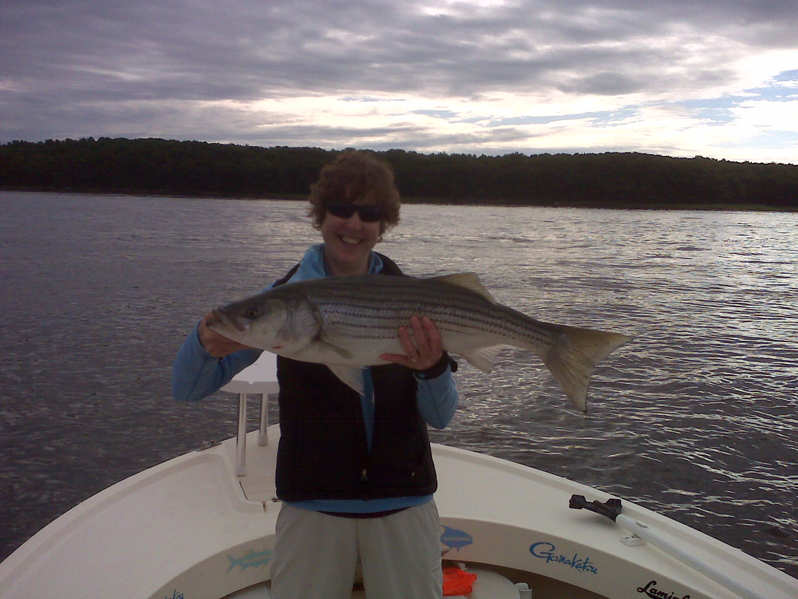 Maine Striper Fishing Charters & Reports Hotline 2076910745 Maine