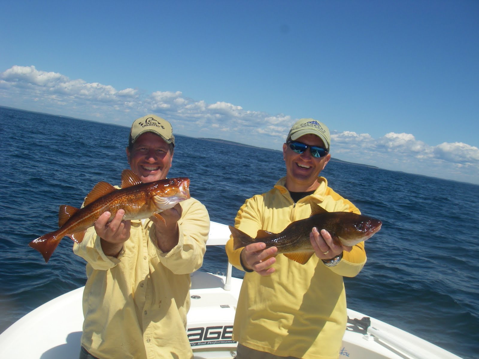 Maine Striper Fishing Charters & Reports Hotline 2076910745 Maine Saltwater Fishing Report