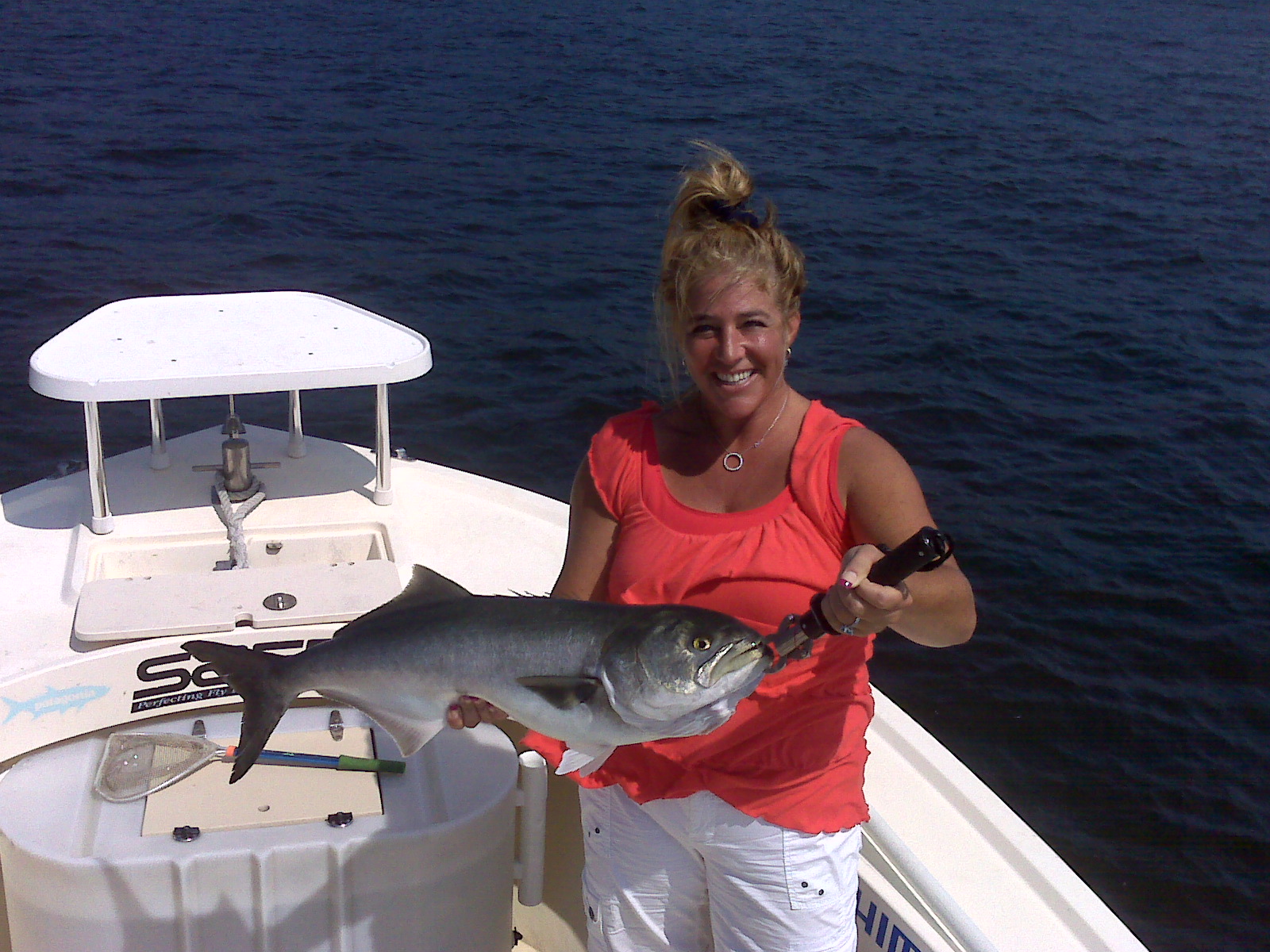 Maine Striper Fishing Charters & Reports Hotline 2076910745 Maine Saltwater Fishing Report